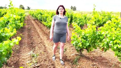 Leila, 37 years old, takes part in a winemaking trio